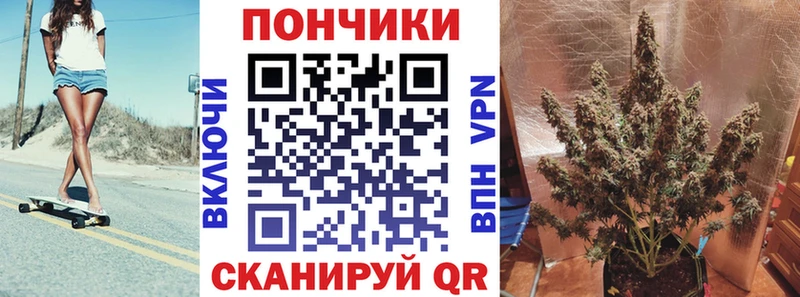 ГАШ Щигры