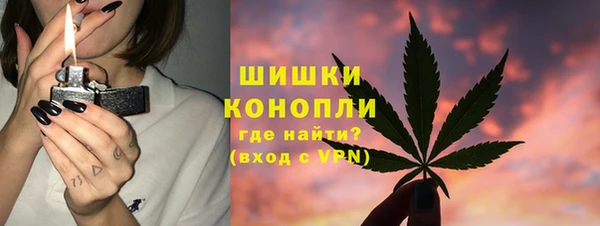 индика Корсаков
