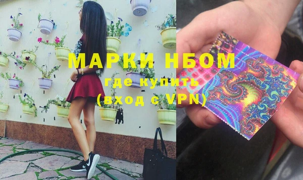 индика Корсаков