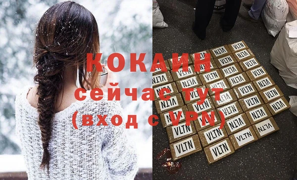 индика Корсаков