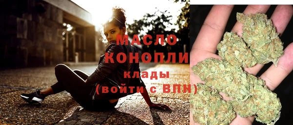 индика Корсаков