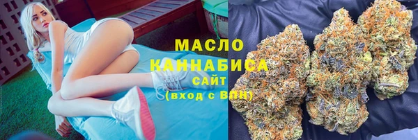 индика Корсаков