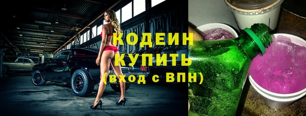 индика Корсаков