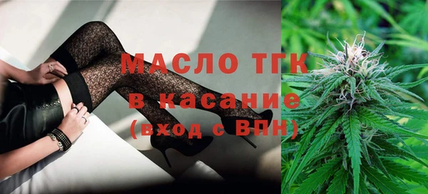 индика Корсаков