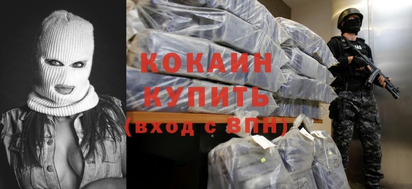 индика Корсаков