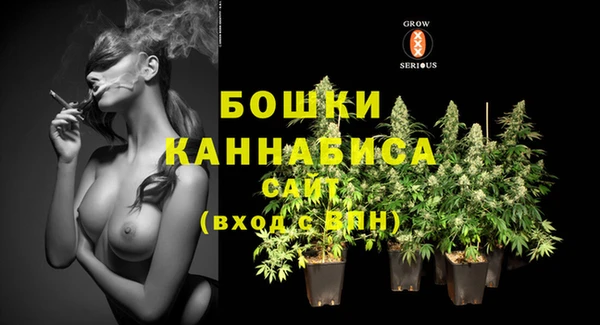 индика Корсаков