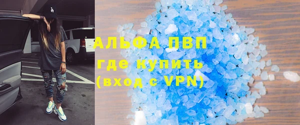 индика Корсаков