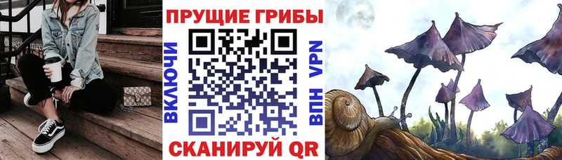 Псилоцибиновые грибы MAGIC MUSHROOMS  Щигры 